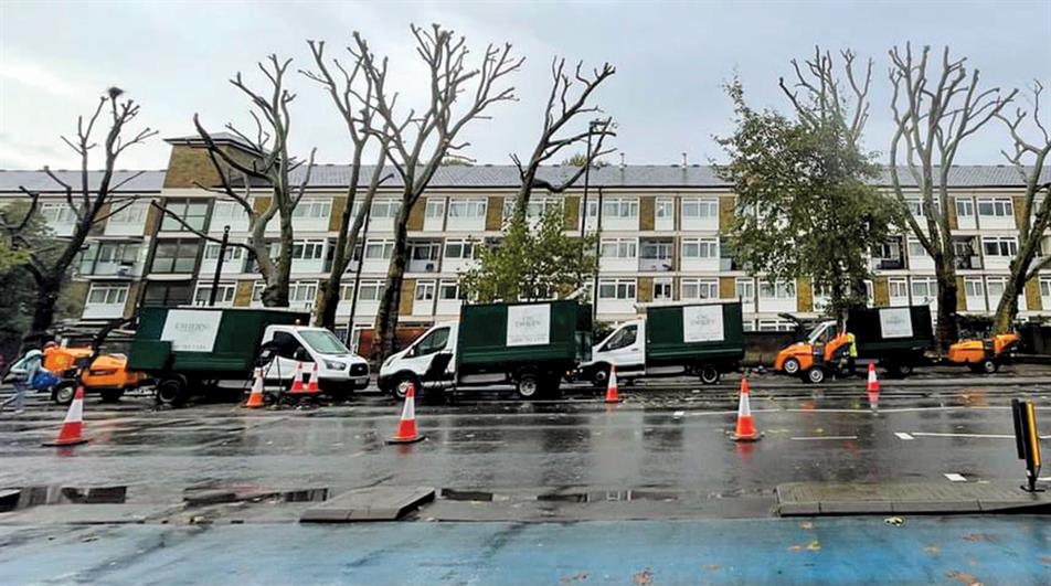 Roadside tree work - credit: Usher's Tree Work